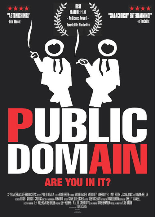 Постер фильма «Public Domain»