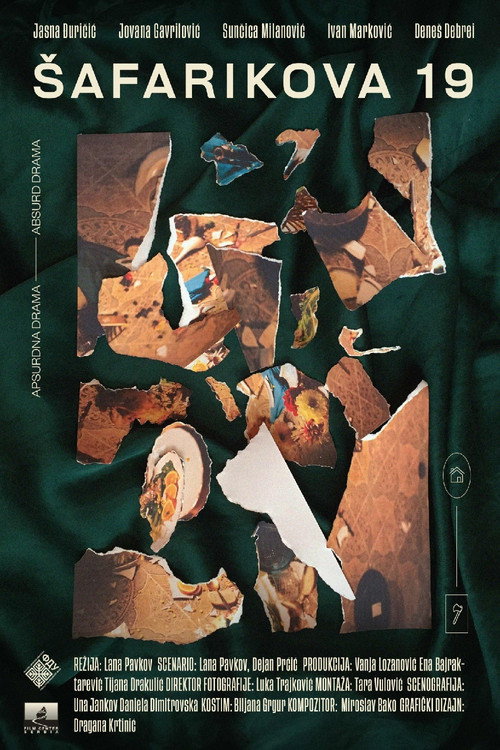 Постер фильма «Šafarikova 19»