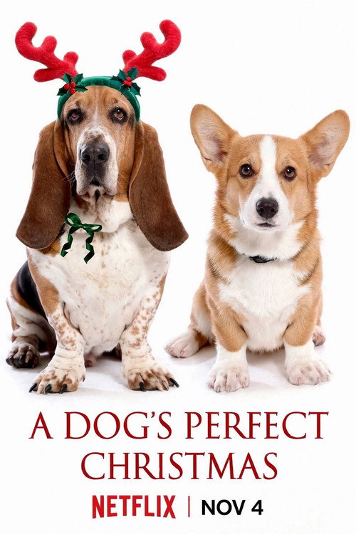 Постер фильма «A Dog's Perfect Christmas»