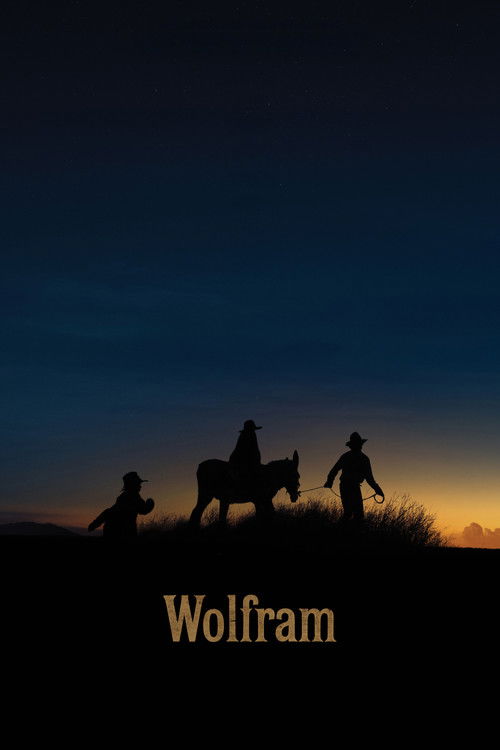 Постер фильма «Wolfram»