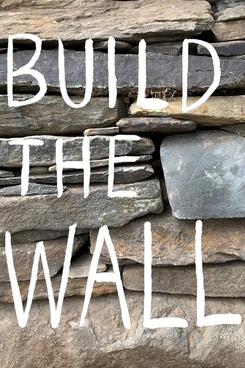 Постер фильма «Build the Wall»