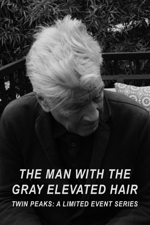 Постер фильма «The Man with the Gray Elevated Hair»