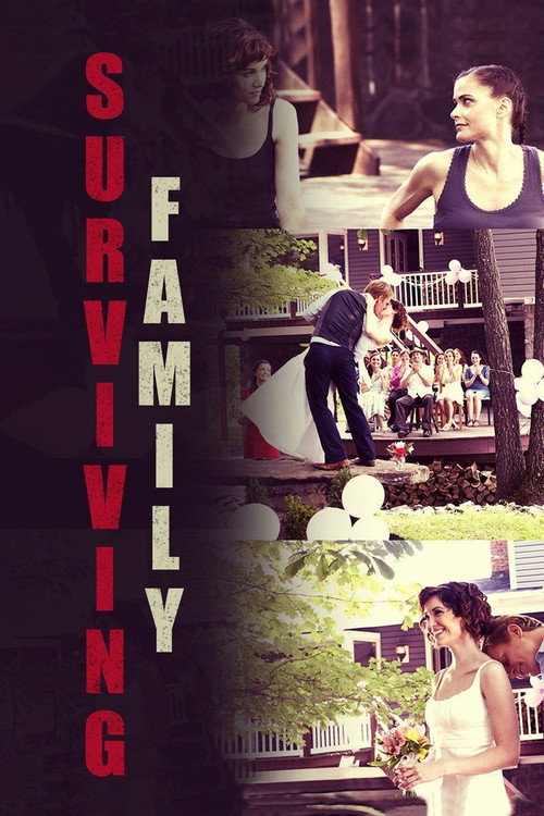 Постер фильма «Surviving Family»