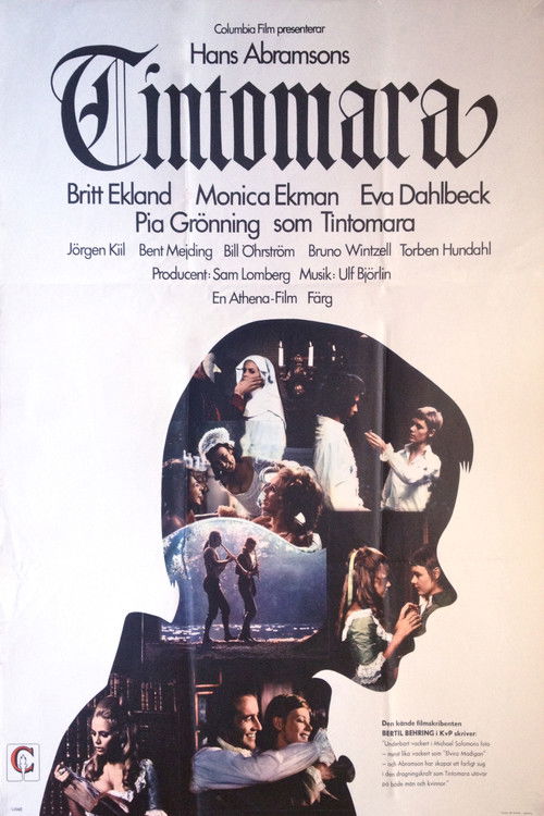 Постер фильма «Tintomara»
