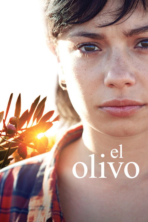 Постер фильма «El Olivo»