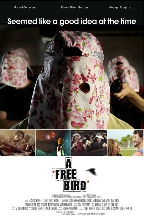 Постер фильма «A Free Bird»