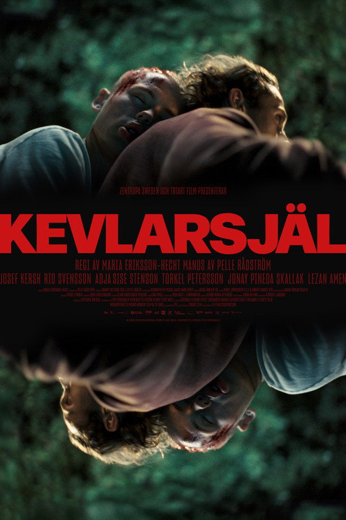 Постер фильма «Kevlarsjäl»