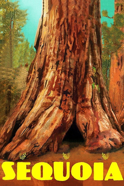 Постер фильма «Sequoia»