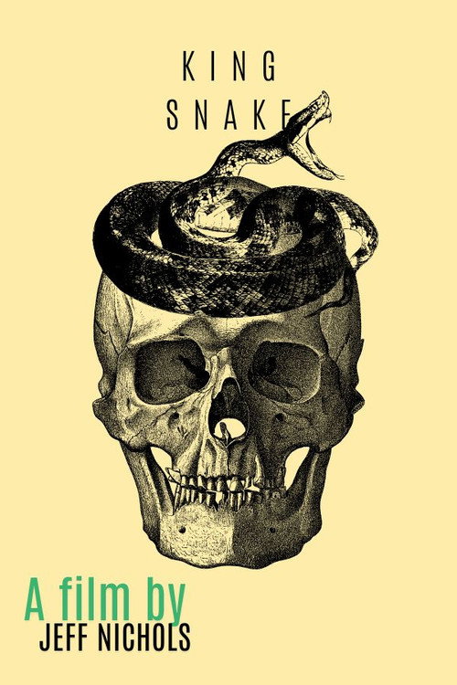 Постер фильма «King Snake»