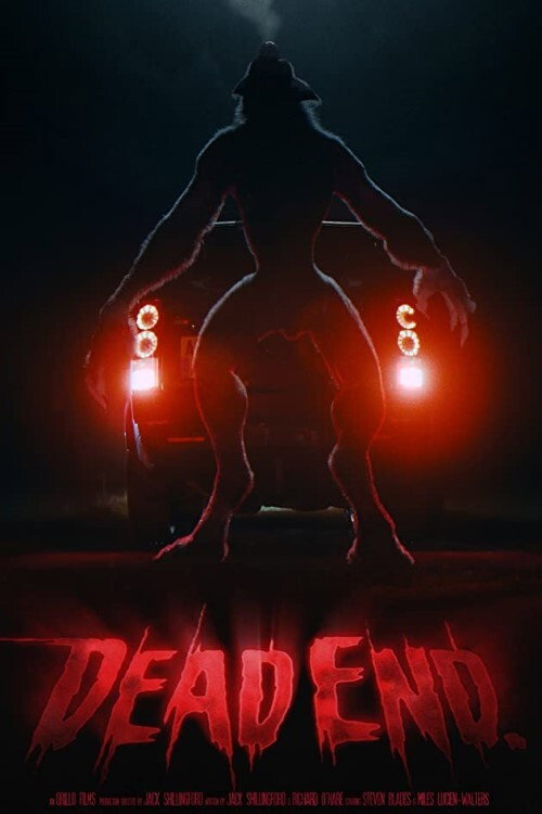 Постер фильма «Dead End»