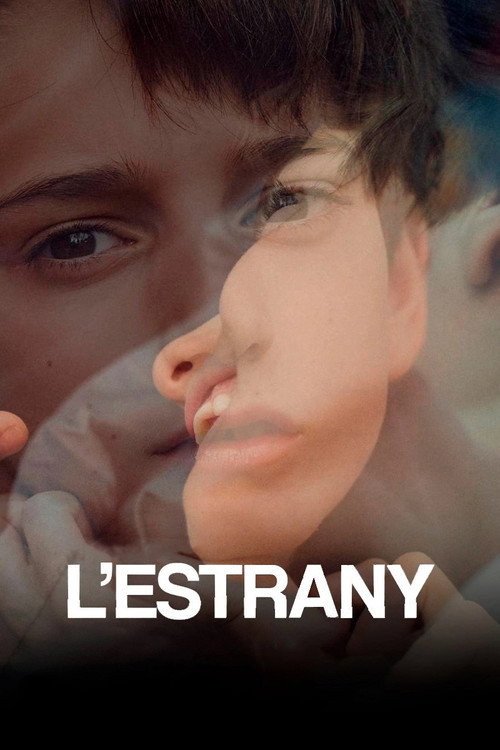 Постер фильма «L'estrany»