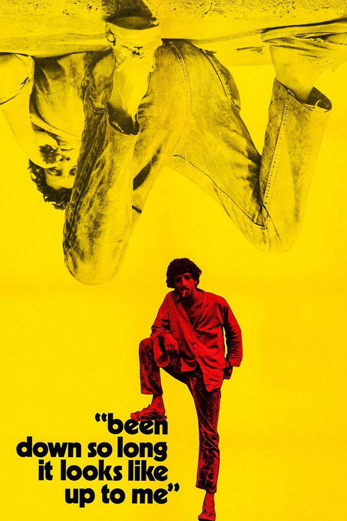 Постер фильма «Been Down So Long It Looks Like Up to Me»