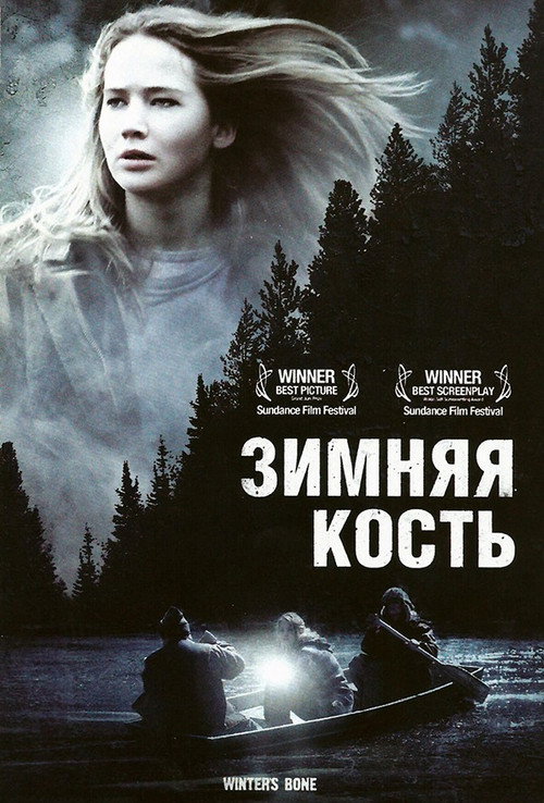 Постер фильма «Зимняя кость»