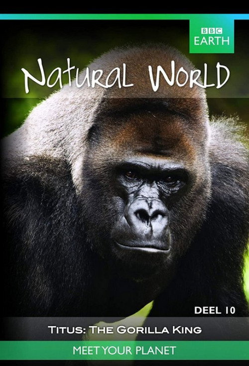 Постер фильма «Titus: The Gorilla King»