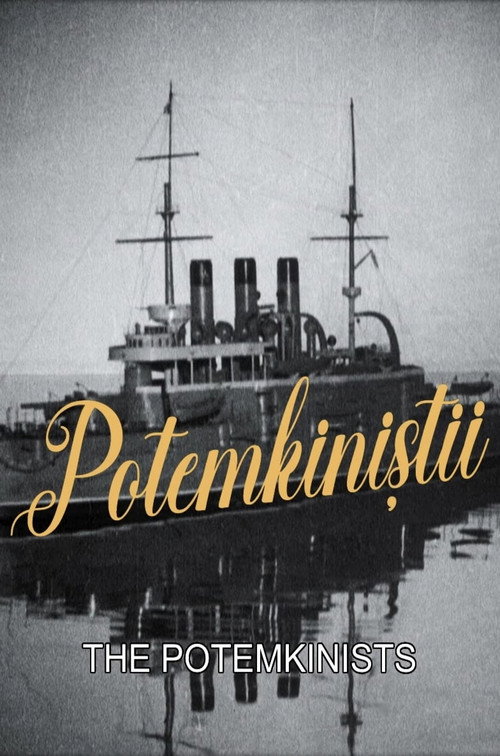 Постер фильма «Potemkinistii»