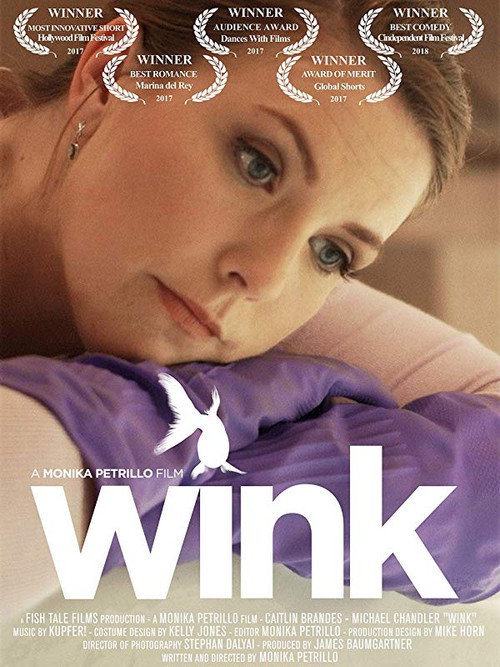 Постер фильма «Wink»