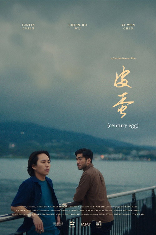 Постер фильма «皮蛋»