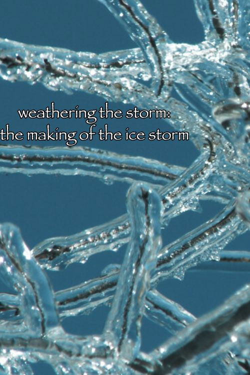Постер фильма «Weathering the Storm: The Making of The Ice Storm»
