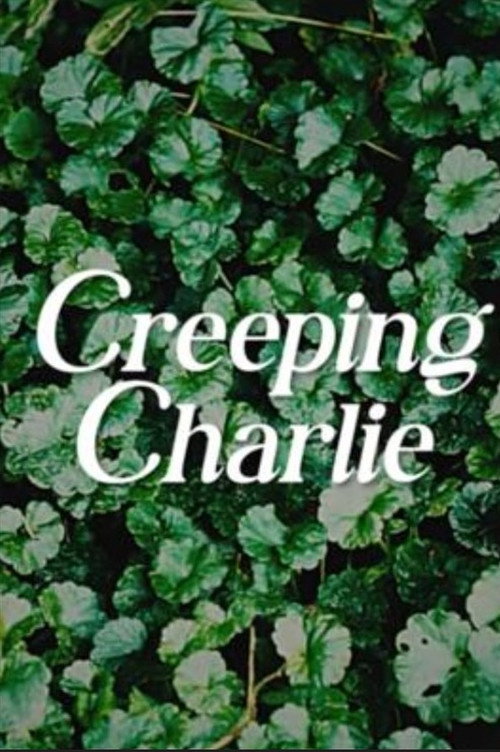 Постер фильма «Creeping Charlie»