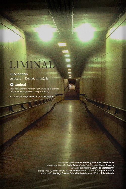 Постер фильма «Liminal»
