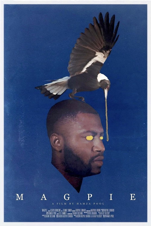 Постер фильма «Magpie»