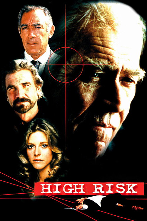 Постер фильма «High Risk»