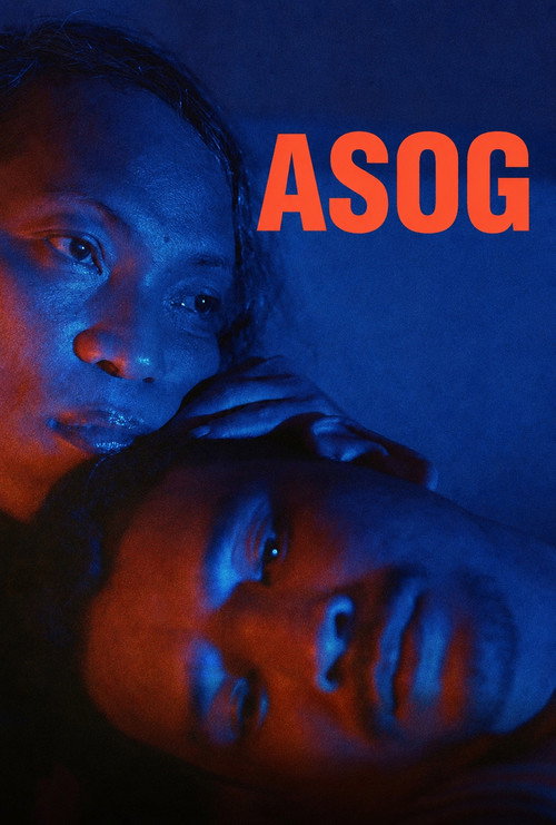 Постер фильма «Asog»