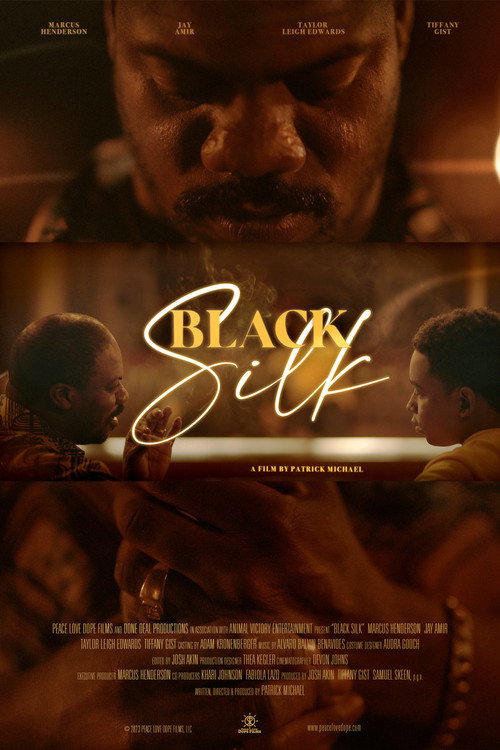 Постер фильма «Black Silk»