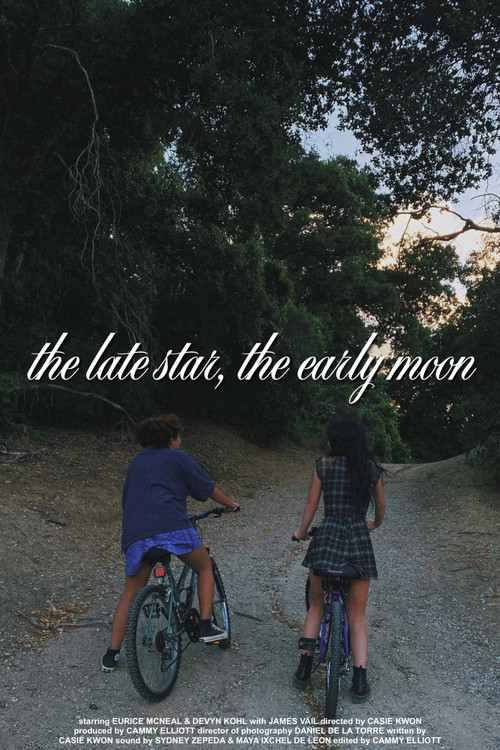 Постер фильма «the late star, the early moon»