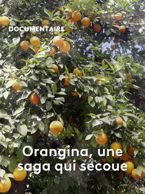 Постер фильма «Orangina, une saga qui secoue»