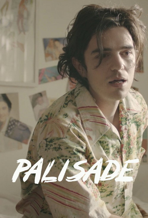 Постер фильма «Palisade»