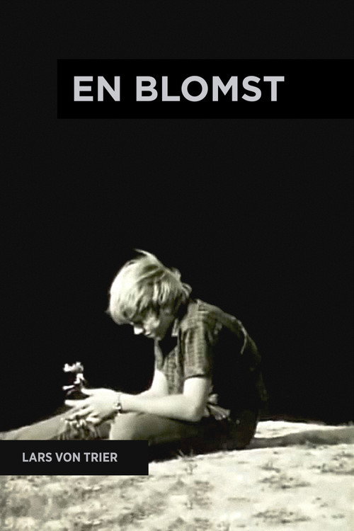 Постер фильма «En blomst»