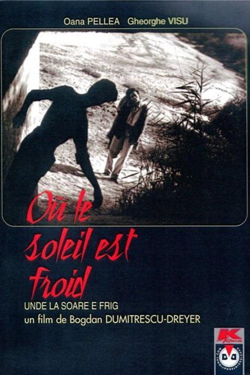 Постер фильма «Unde la soare e frig»