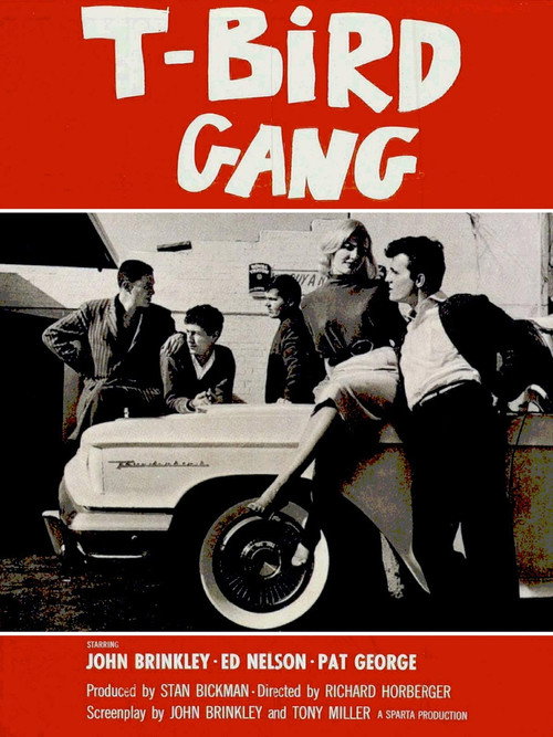 Постер фильма «T-Bird Gang»