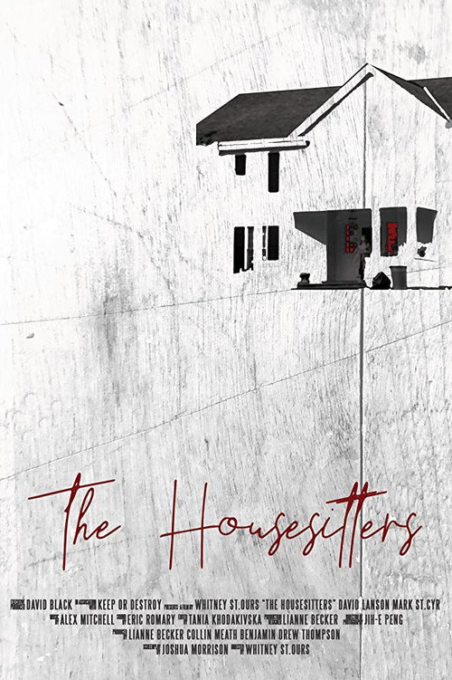 Постер фильма «The Housesitters»