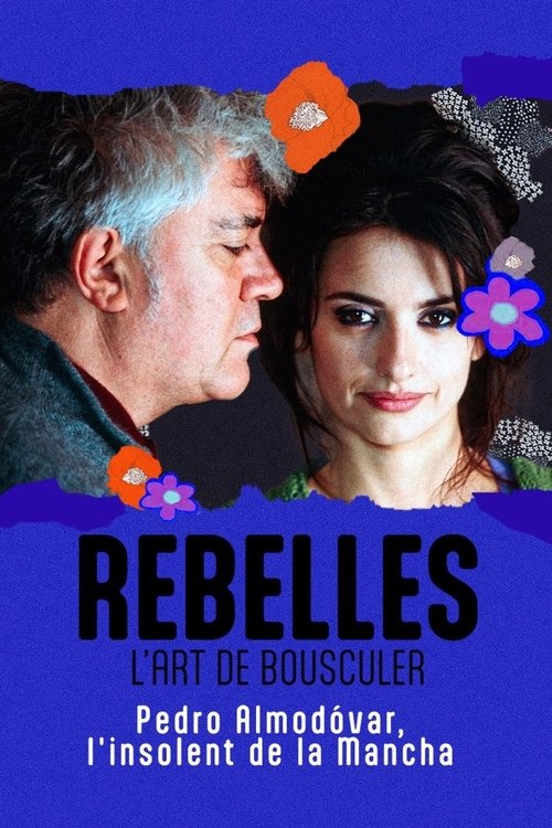 Постер фильма «Almodóvar, l'insolent de la Mancha»