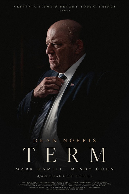 Постер фильма «TERM»