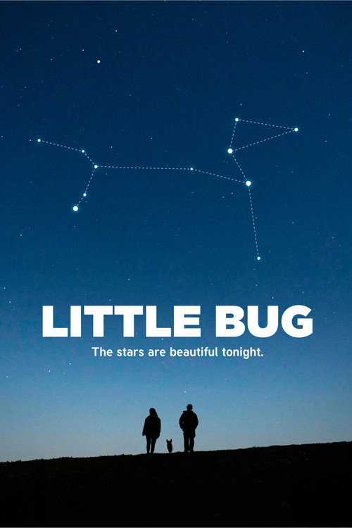 Постер фильма «Little Bug»