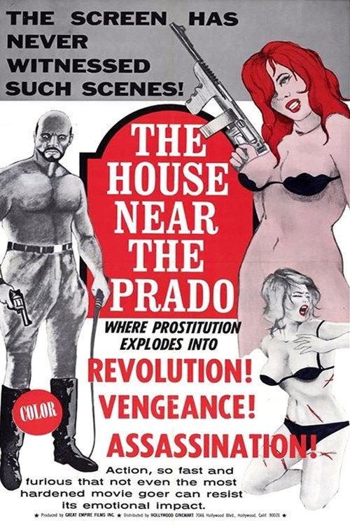 Постер фильма «The House Near the Prado»
