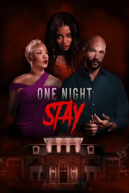 Постер фильма «One Night Stay»