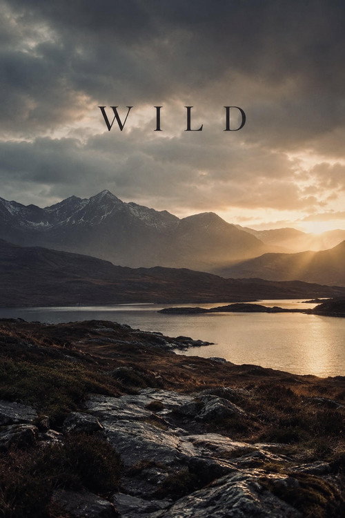Постер фильма «Wild»