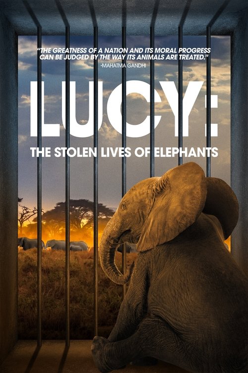 Постер фильма «Lucy: The Stolen Lives of Elephants»