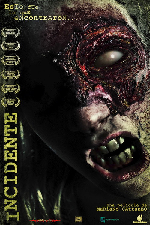 Постер фильма «Incidente»