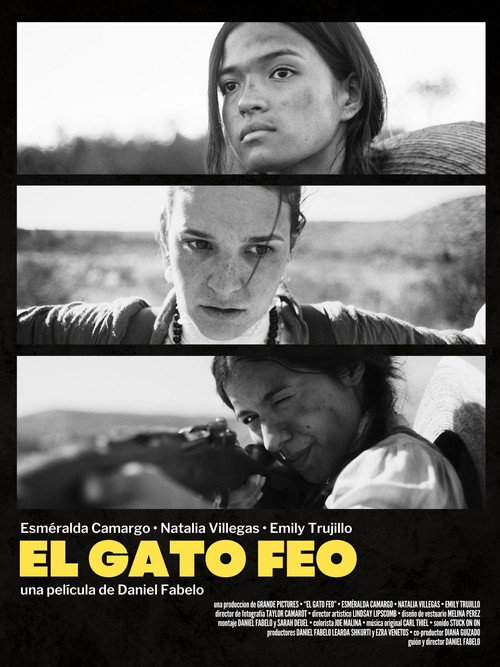 Постер фильма «El gato feo»