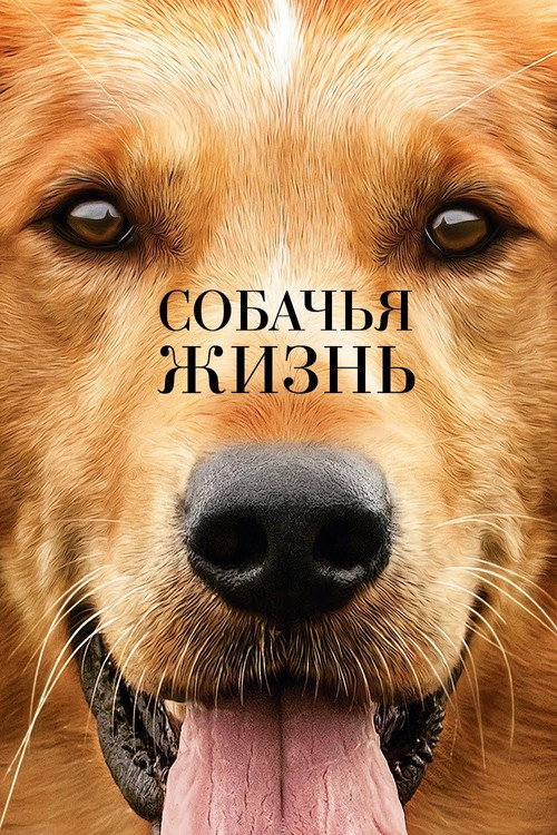 Постер фильма «Собачья жизнь»