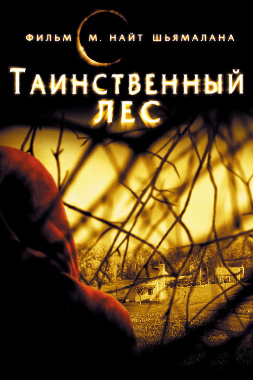 Постер фильма «Таинственный лес»