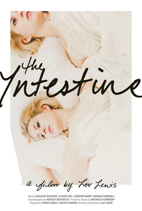 Постер фильма «The Intestine»