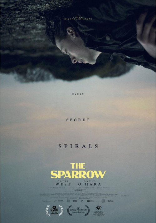 Постер фильма «The Sparrow»