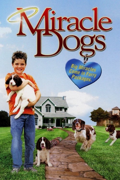 Постер фильма «Miracle Dogs»