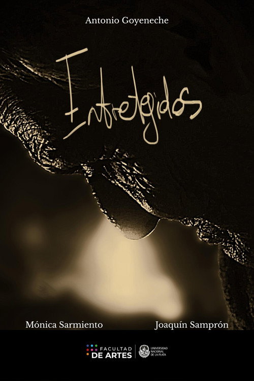 Постер фильма «Entretejidos»